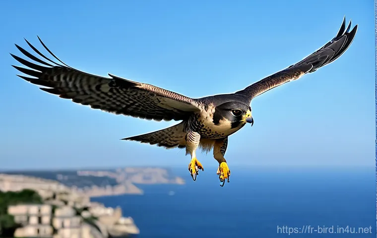 황조롱이와 매의 차이 - **Prompt 1: Eurasian Kestrel in "Holy Spirit" Flight**
    A male Eurasian Kestrel (Faucon cr&eacute;cerell...