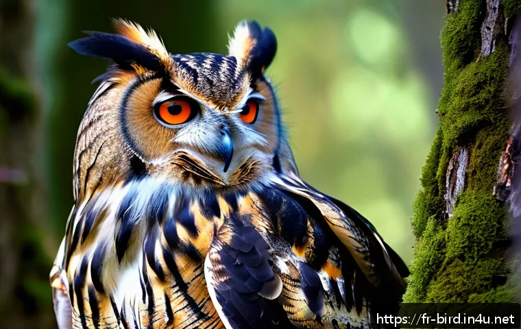 부엉이의 번식 시기 - A detailed close-up of a Eurasian Eagle-Owl (Grand-Duc d’Europe) perched in a dense French mountain ...